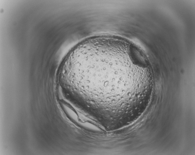 X0000062171279200512121231