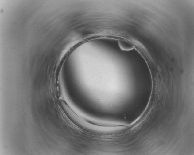 X0000062171280200512121231