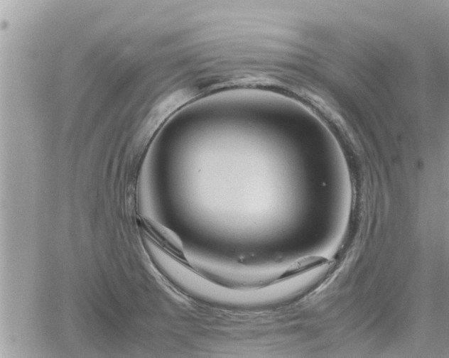 X0000062171281200512121231