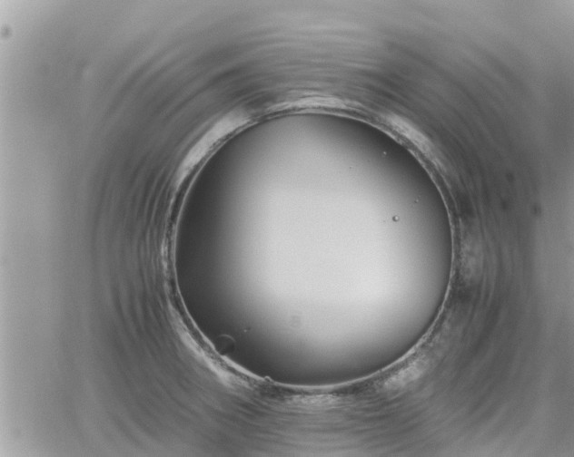 X0000062171282200512121231