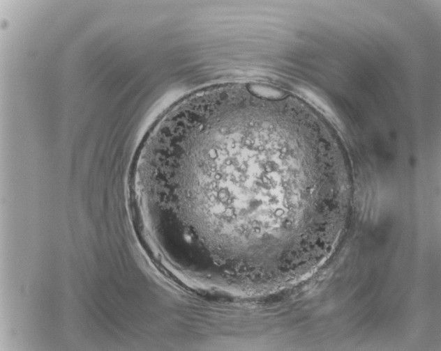 X0000062171283200512121231