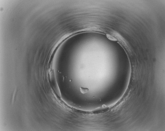 X0000062171284200512121231