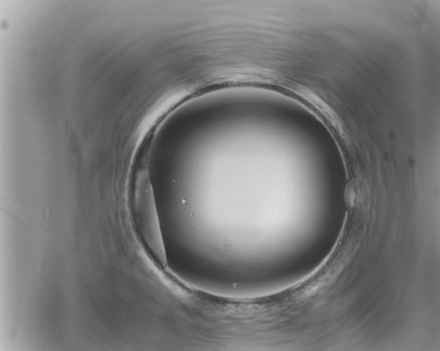 X0000062171285200512121231