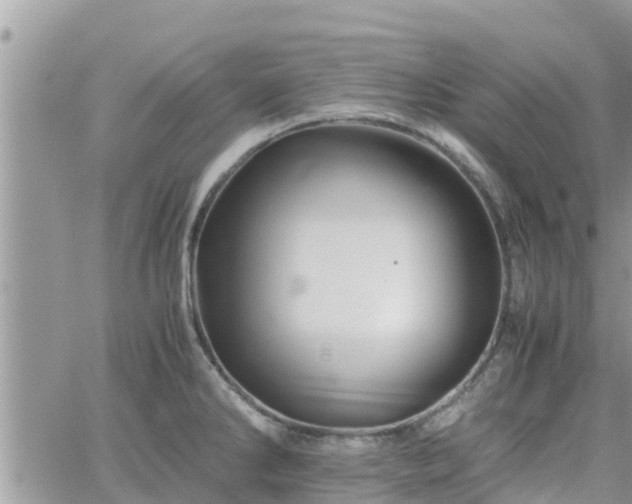 X0000062171286200512121231