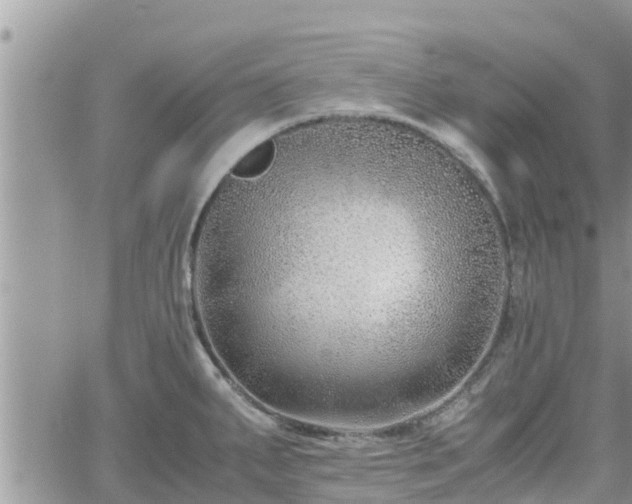 X0000062171287200512121231