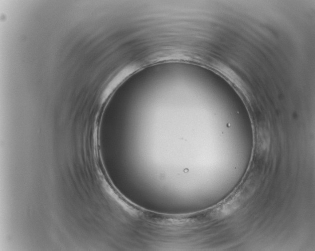 X0000062171290200512121231