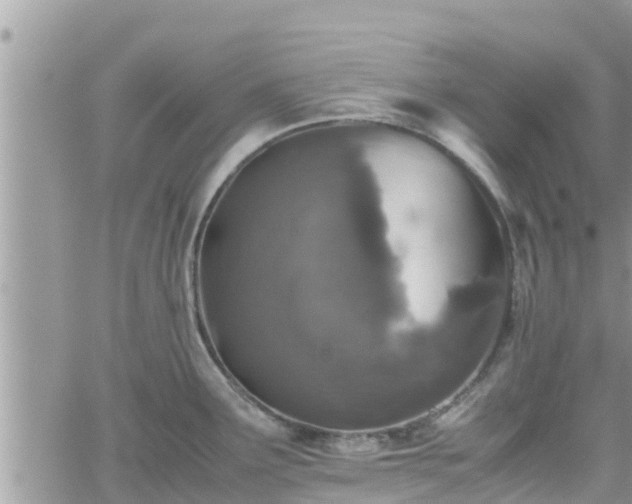 X0000062171291200512121231