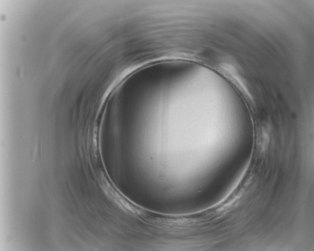 X0000062171292200512121231