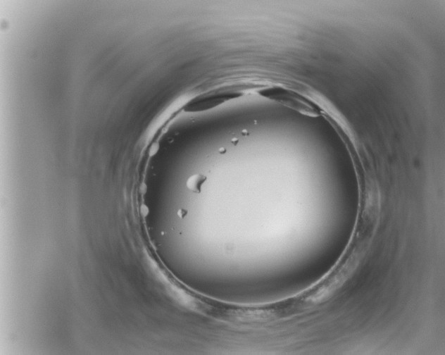 X0000062171293200512121231