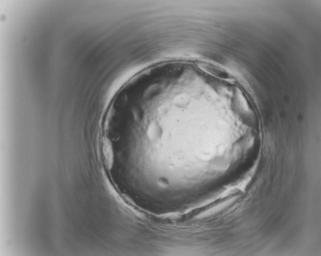 X0000062171295200512121231