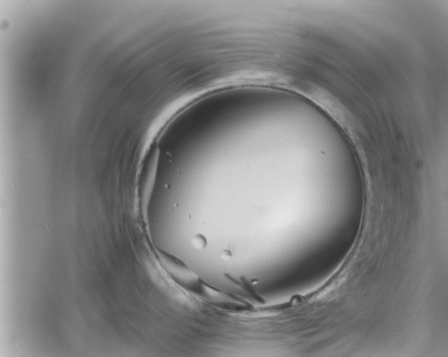 X0000062171296200512121231