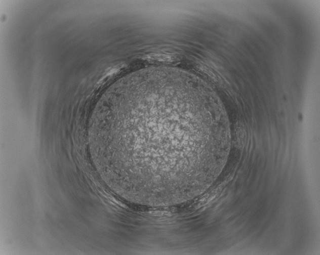 X0000062171297200512121230