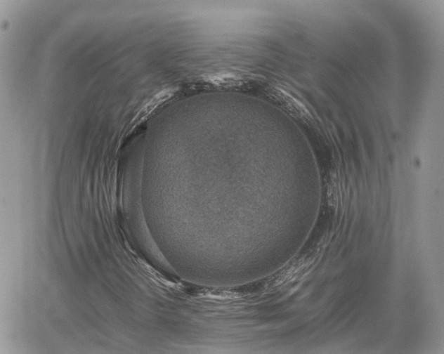 X0000062171298200512121230