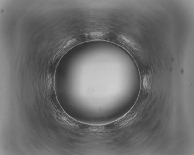 X0000062171299200512121230