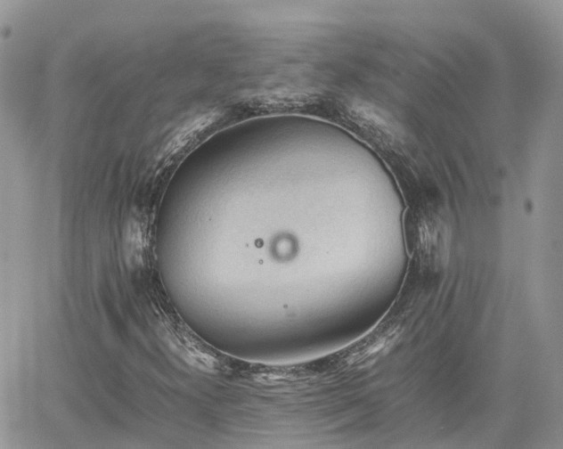 X0000062171300200512121230