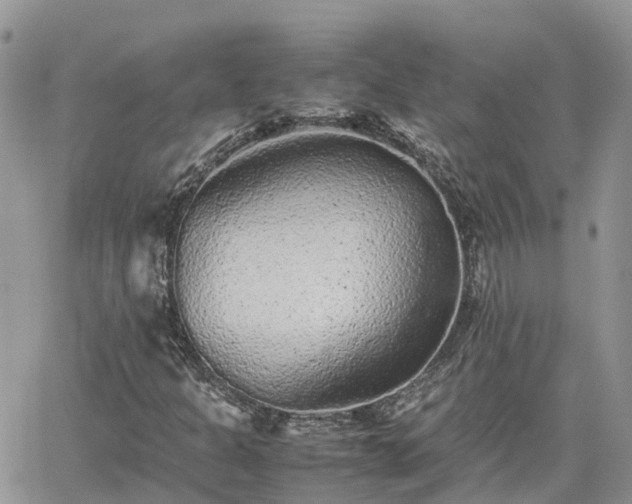 X0000062171301200512121230