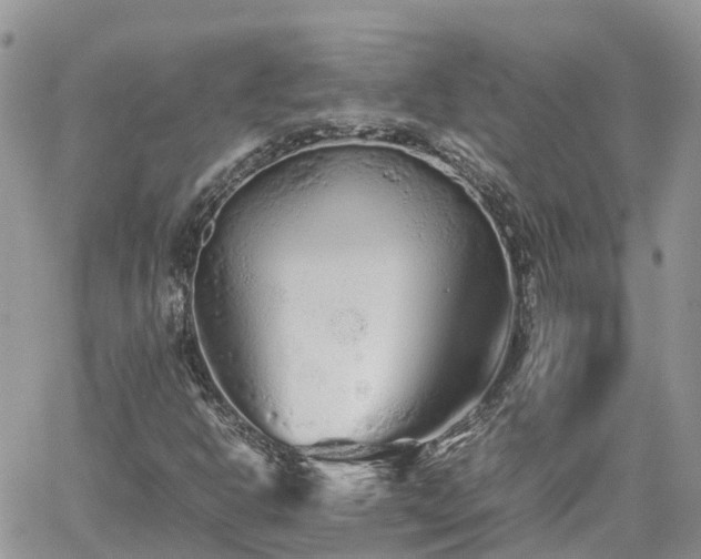 X0000062171302200512121230