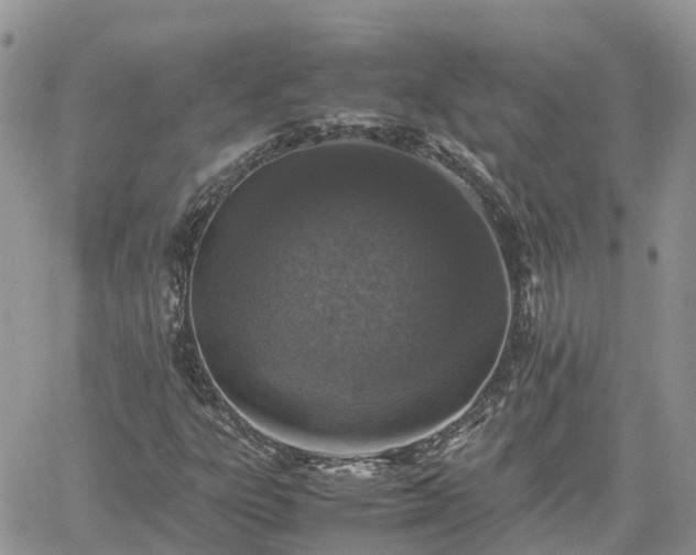 X0000062171303200512121230