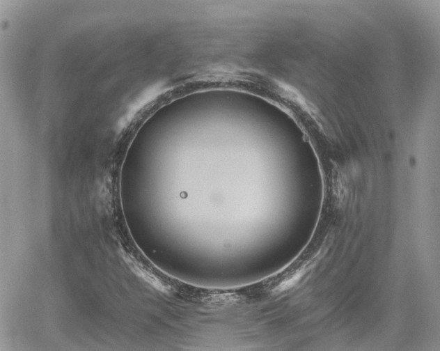 X0000062171304200512121230