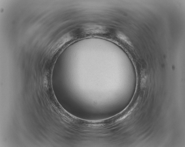 X0000062171305200512121230