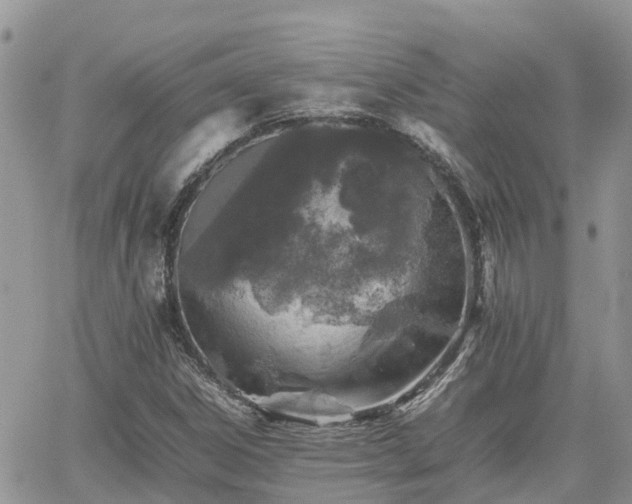 X0000062171306200512121230