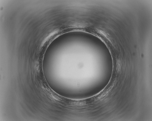 X0000062171307200512121230