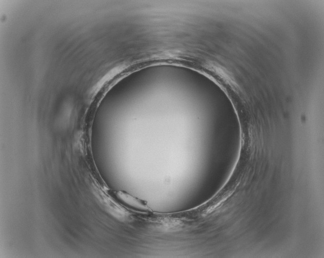 X0000062171308200512121230