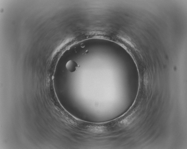 X0000062171309200512121230