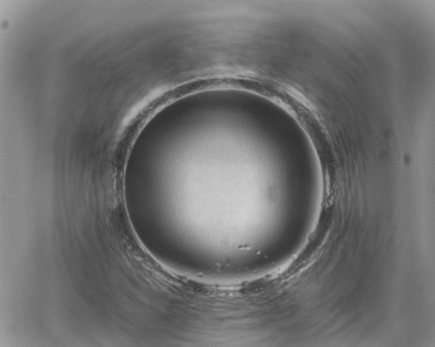 X0000062171310200512121230