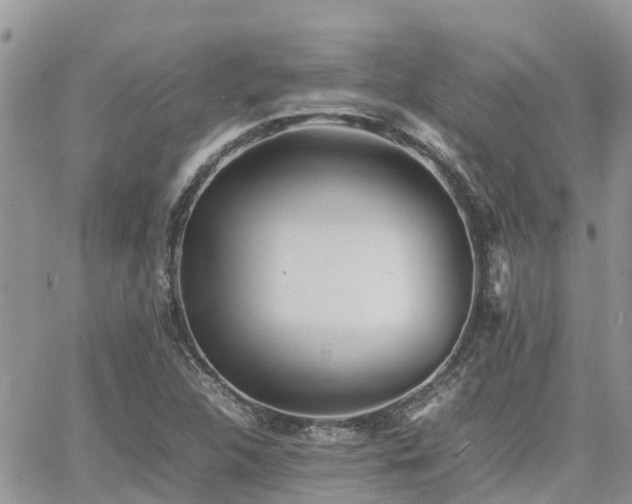 X0000062171312200512121230