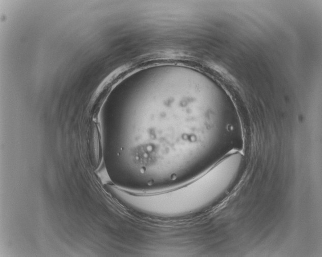 X0000062171314200512121230