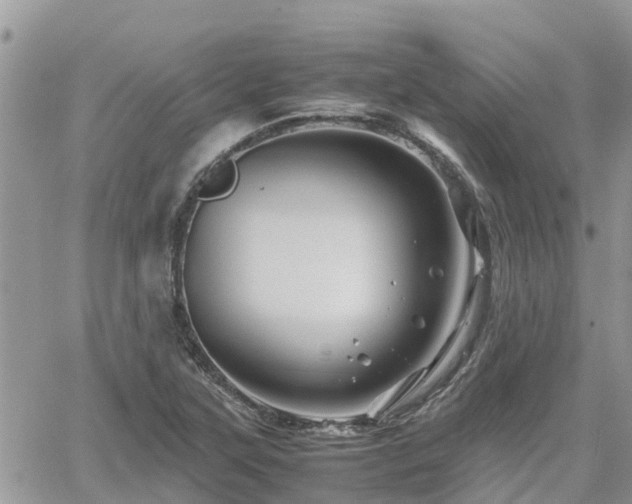 X0000062171315200512121230