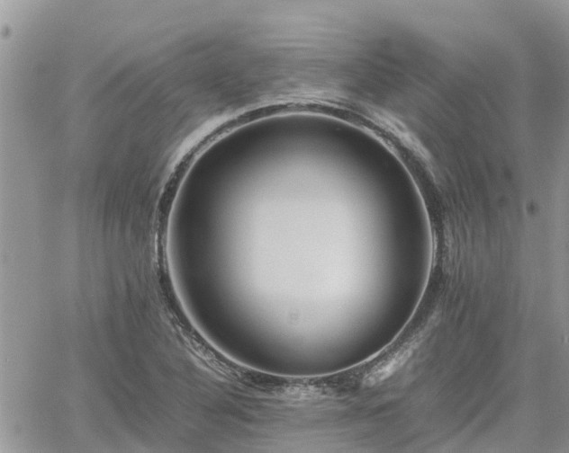 X0000062171316200512121230