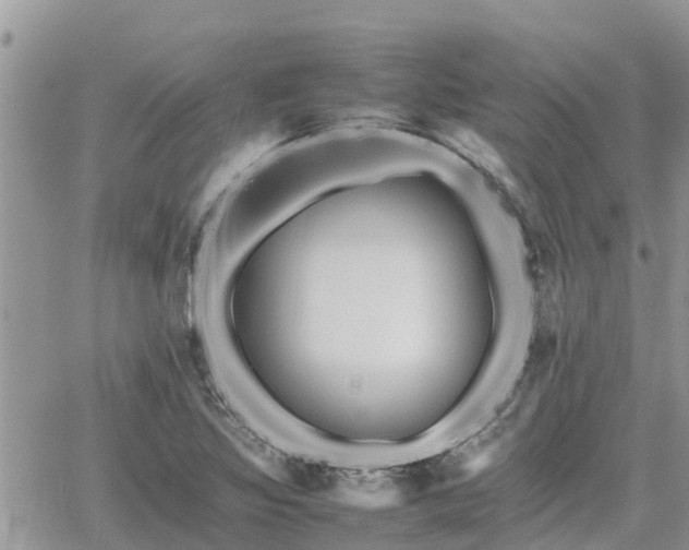 X0000062171317200512121230