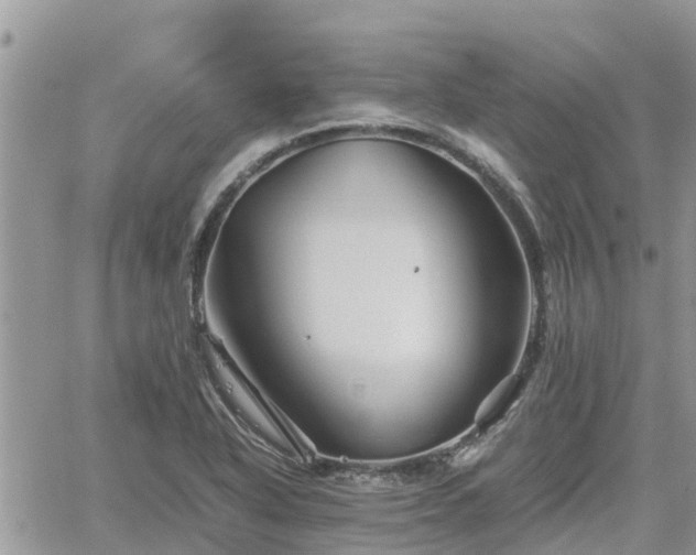 X0000062171318200512121230