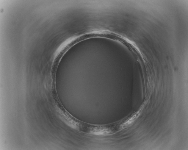 X0000062171319200512121230