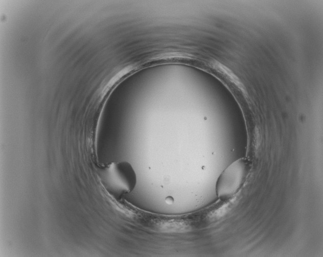 X0000062171321200512121230