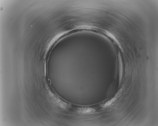 X0000062171323200512121230