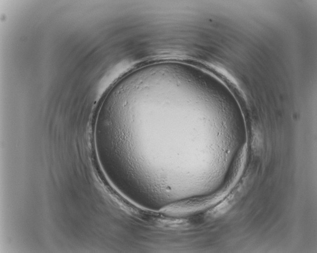 X0000062171325200512121230