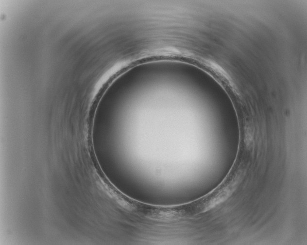 X0000062171326200512121230