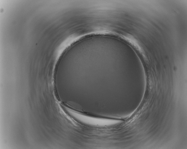 X0000062171327200512121230