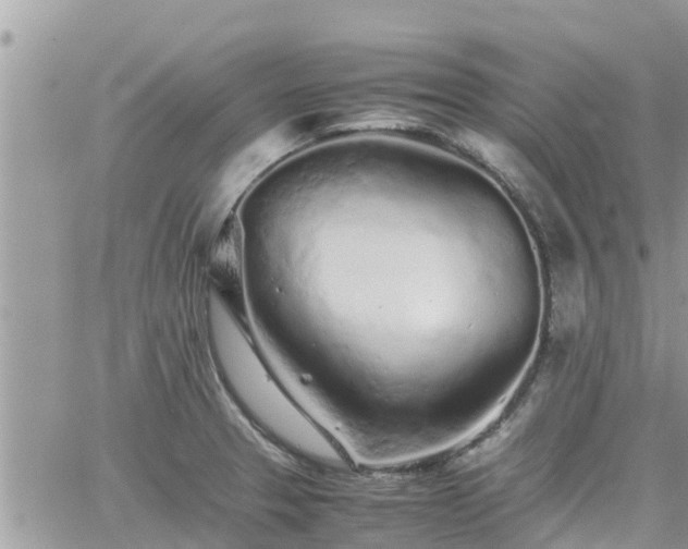 X0000062171329200512121230