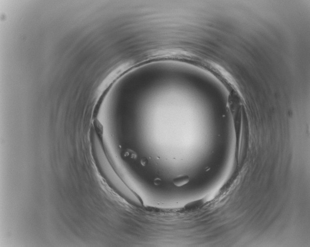 X0000062171330200512121230