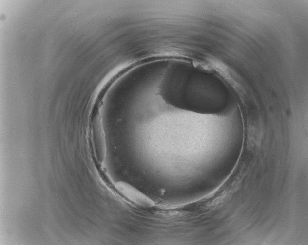 X0000062171331200512121230