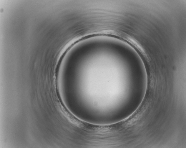 X0000062171332200512121230