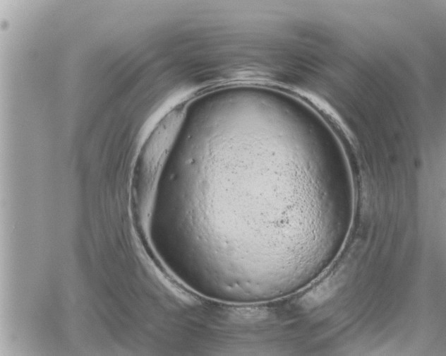 X0000062171333200512121230