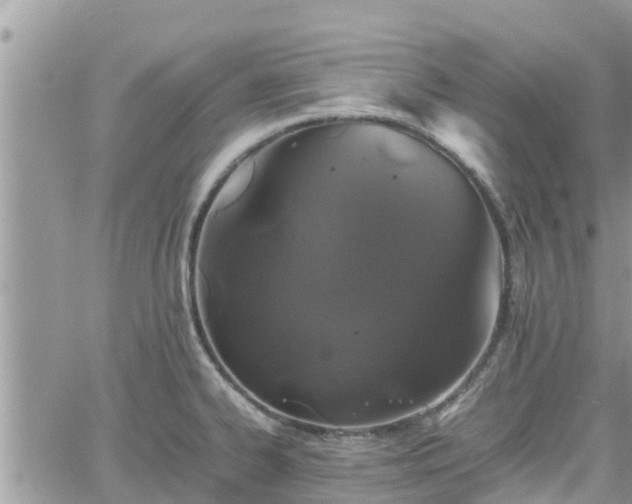 X0000062171334200512121230