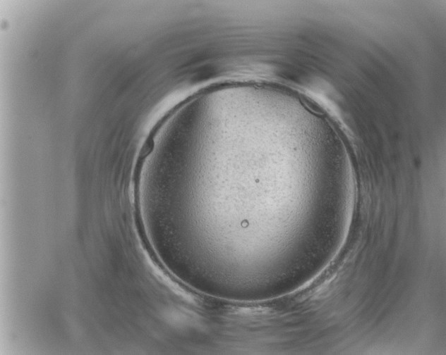 X0000062171335200512121230