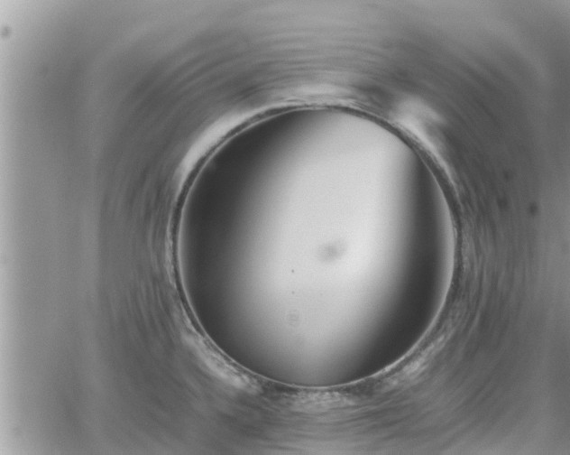 X0000062171336200512121231