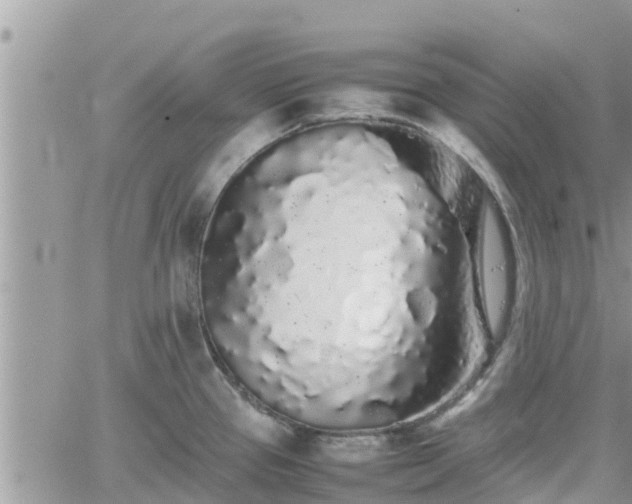 X0000062171337200512121231